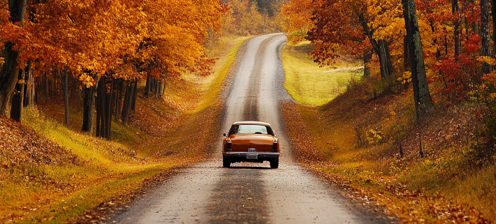 Keramikversiegelung für Oldtimer Pkw Fahrzeuge Tesla im Herbst