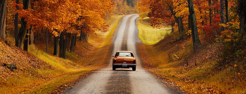 Keramikversiegelung für Oldtimer Pkw Fahrzeuge Tesla im Herbst