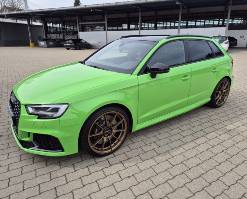 Berger Glanz Audi Gruen Referenz 5